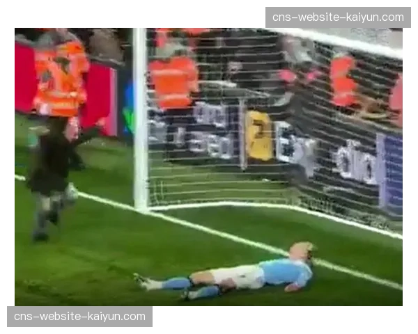 球迷冲入场内导致比赛中断五分钟,已被安保人员带离 球迷冲入场内导致比赛中断五分钟,已被安保人员带离